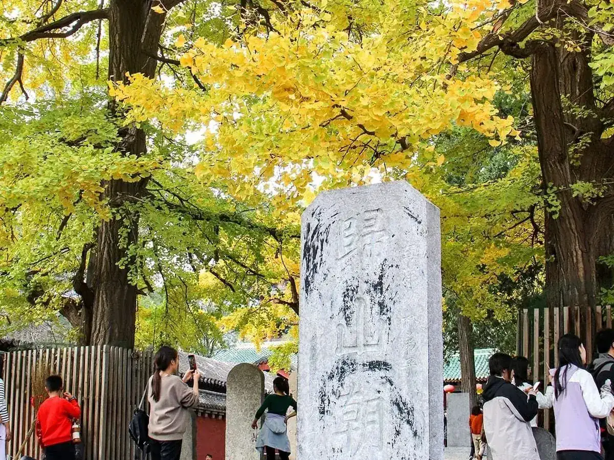 Historic Monuments of Dengfeng in the "Centre of Heaven and Earth"