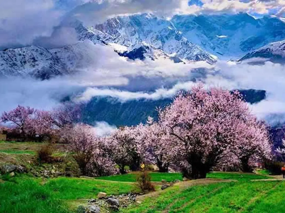 Scenes from Nyingchi, China
