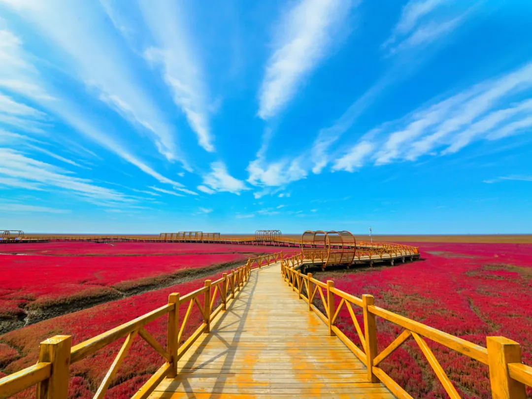 Scenes from Panjin, China