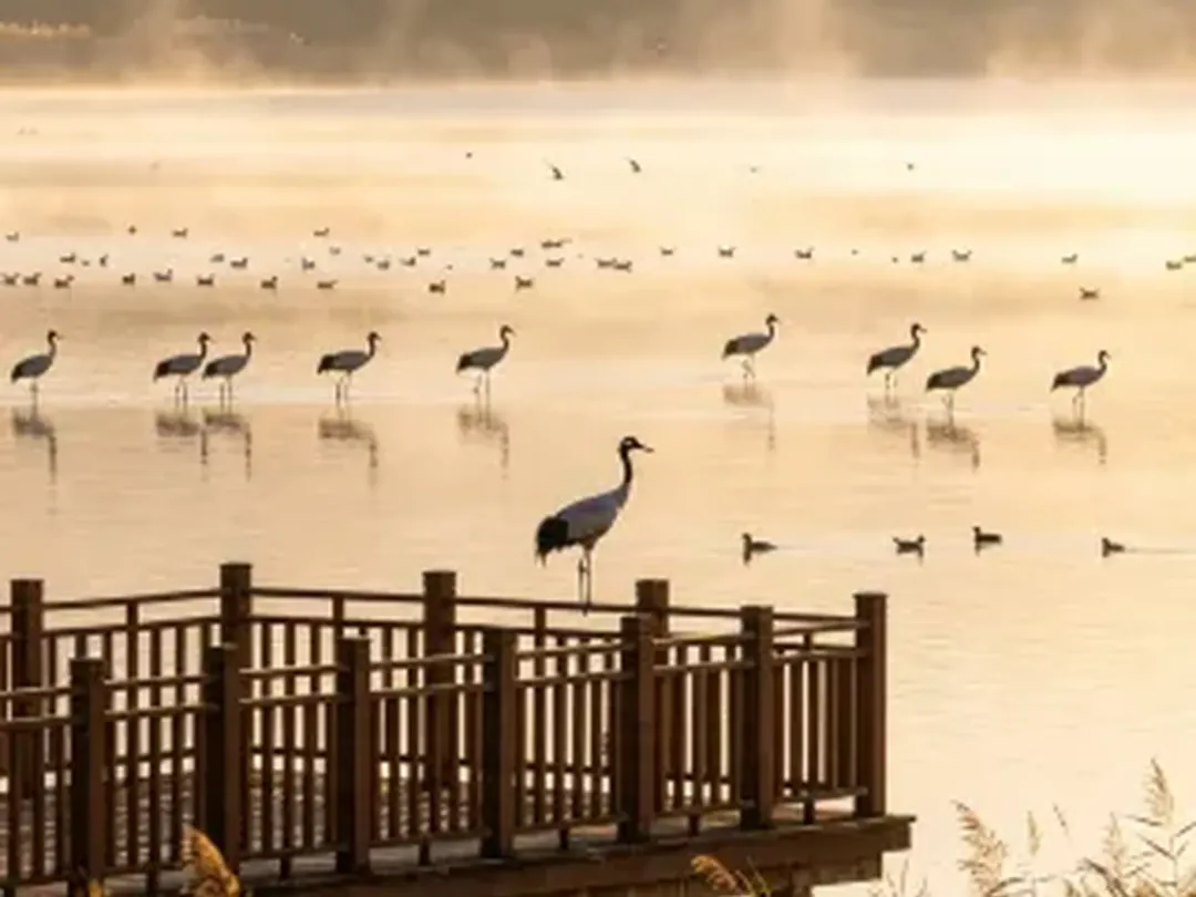 Scenes from Qujing, China