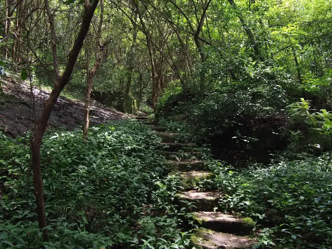 Scenes from Wuyishan, China