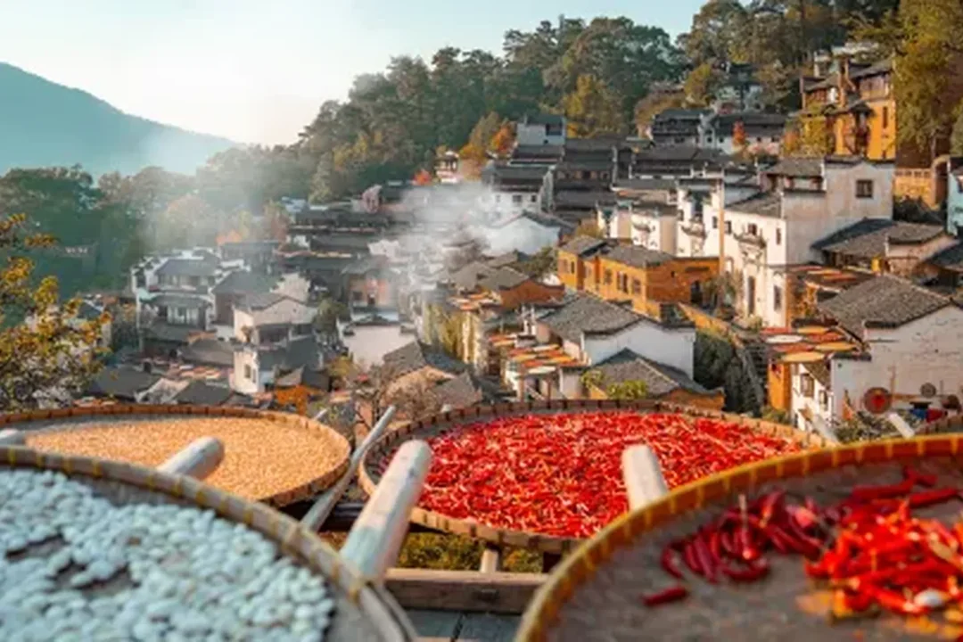 wuyuan