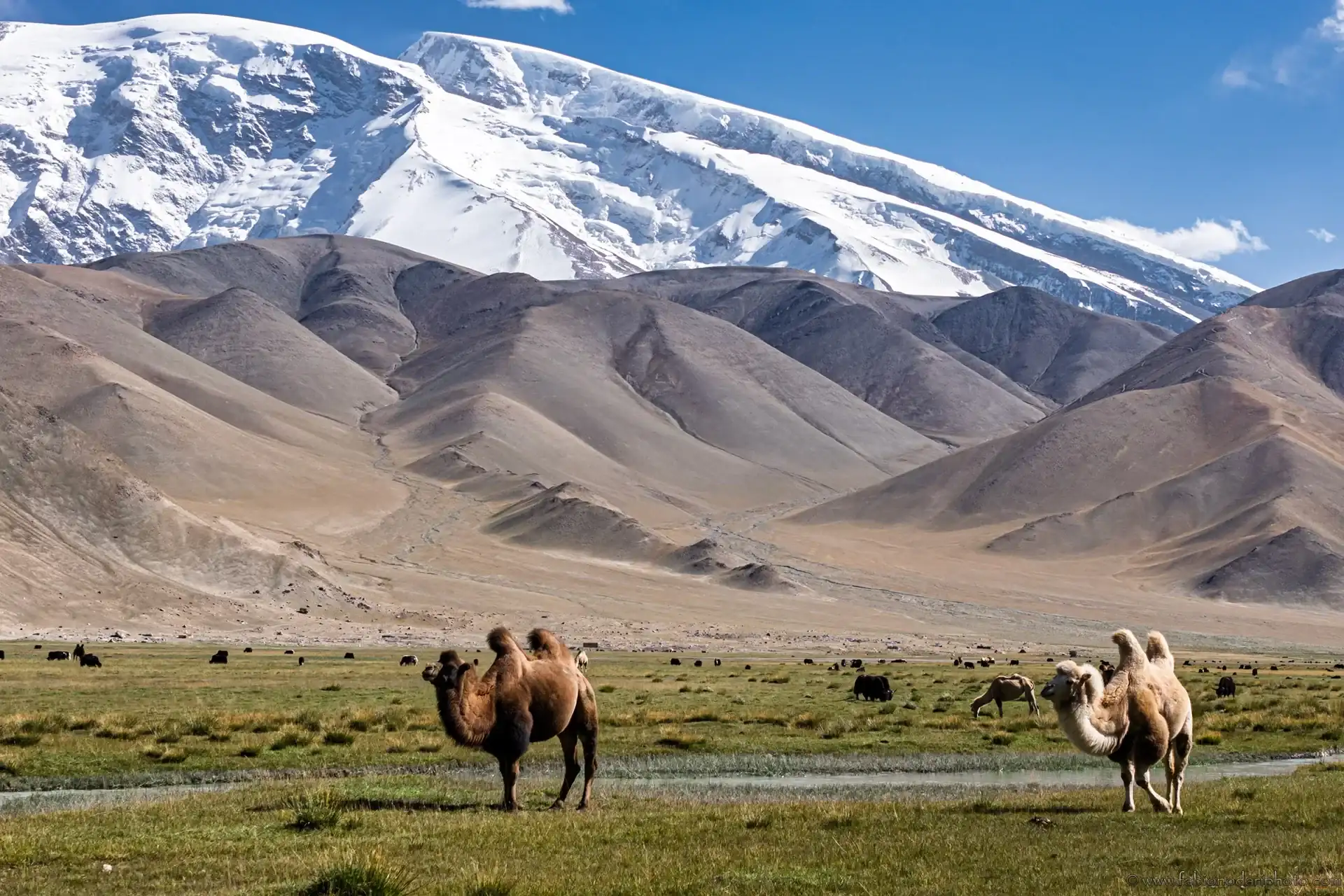 Xinxiang — China travel