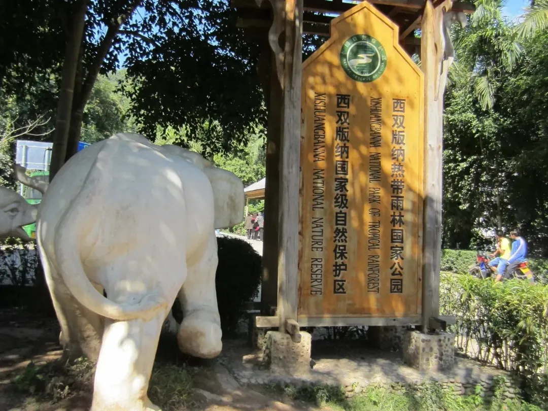 Scenes from Xishuangbanna, China