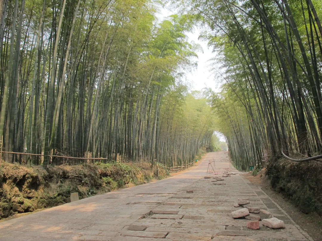 yibin