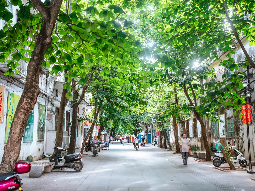 Scenes from Zhanjiang, China