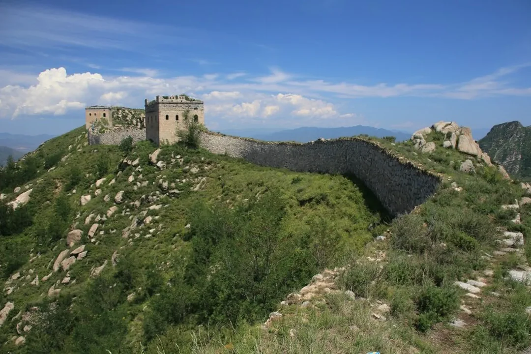 zibo