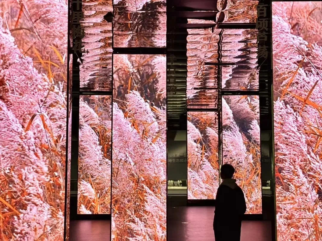 Zhejiang Museum of Natural History