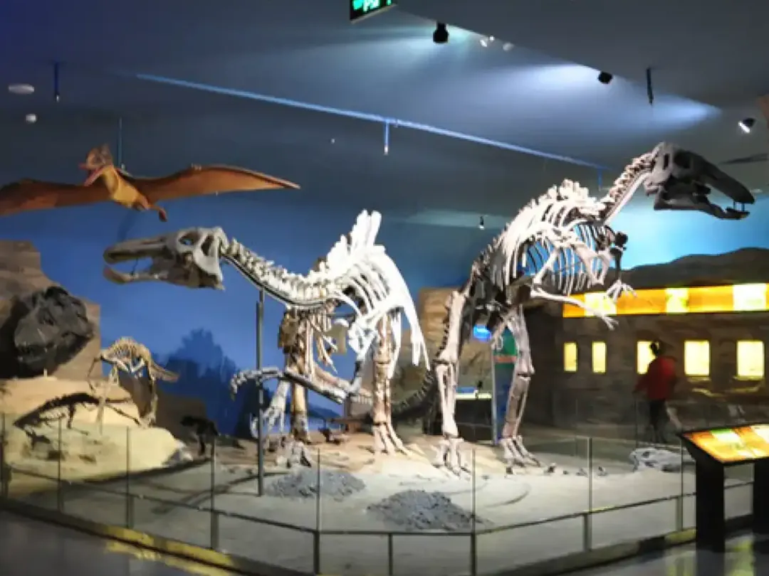 Heilongjiang Provincial Museum
