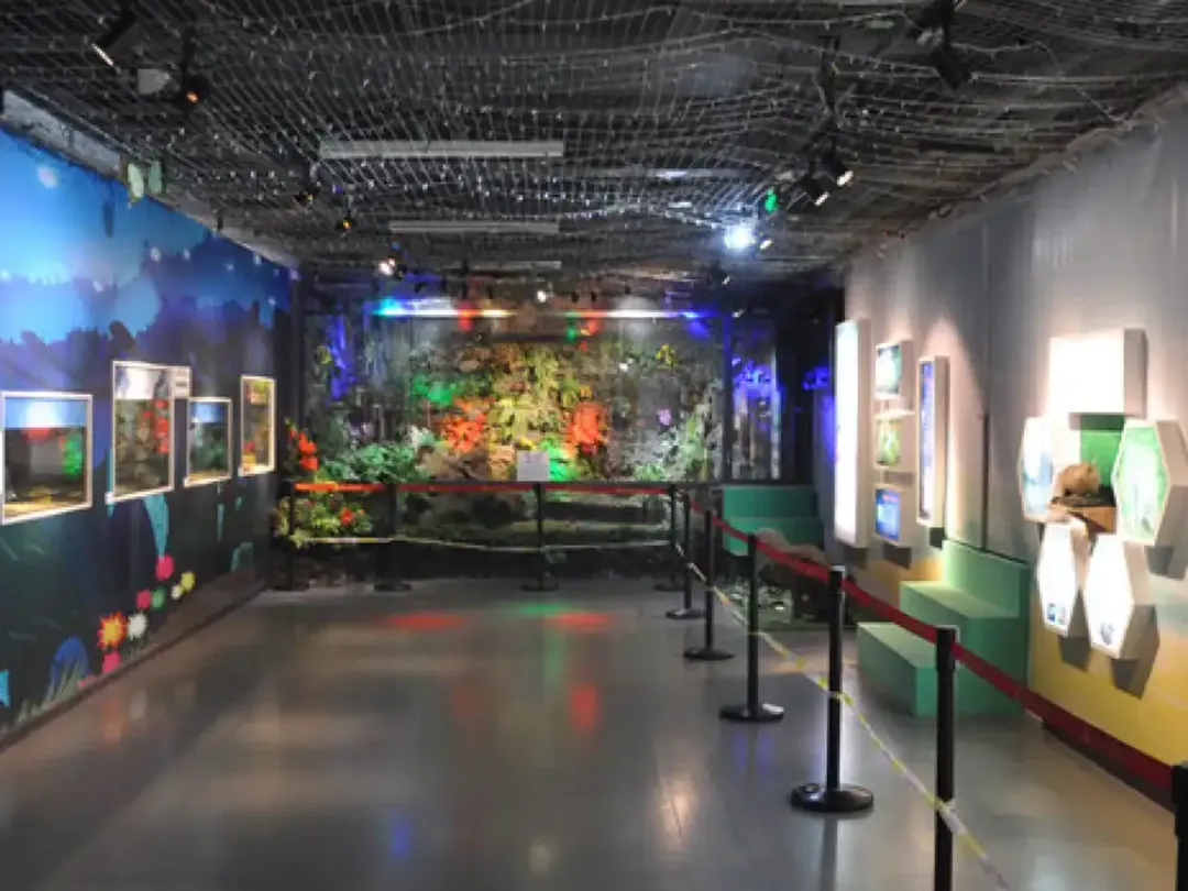 Heilongjiang Provincial Museum