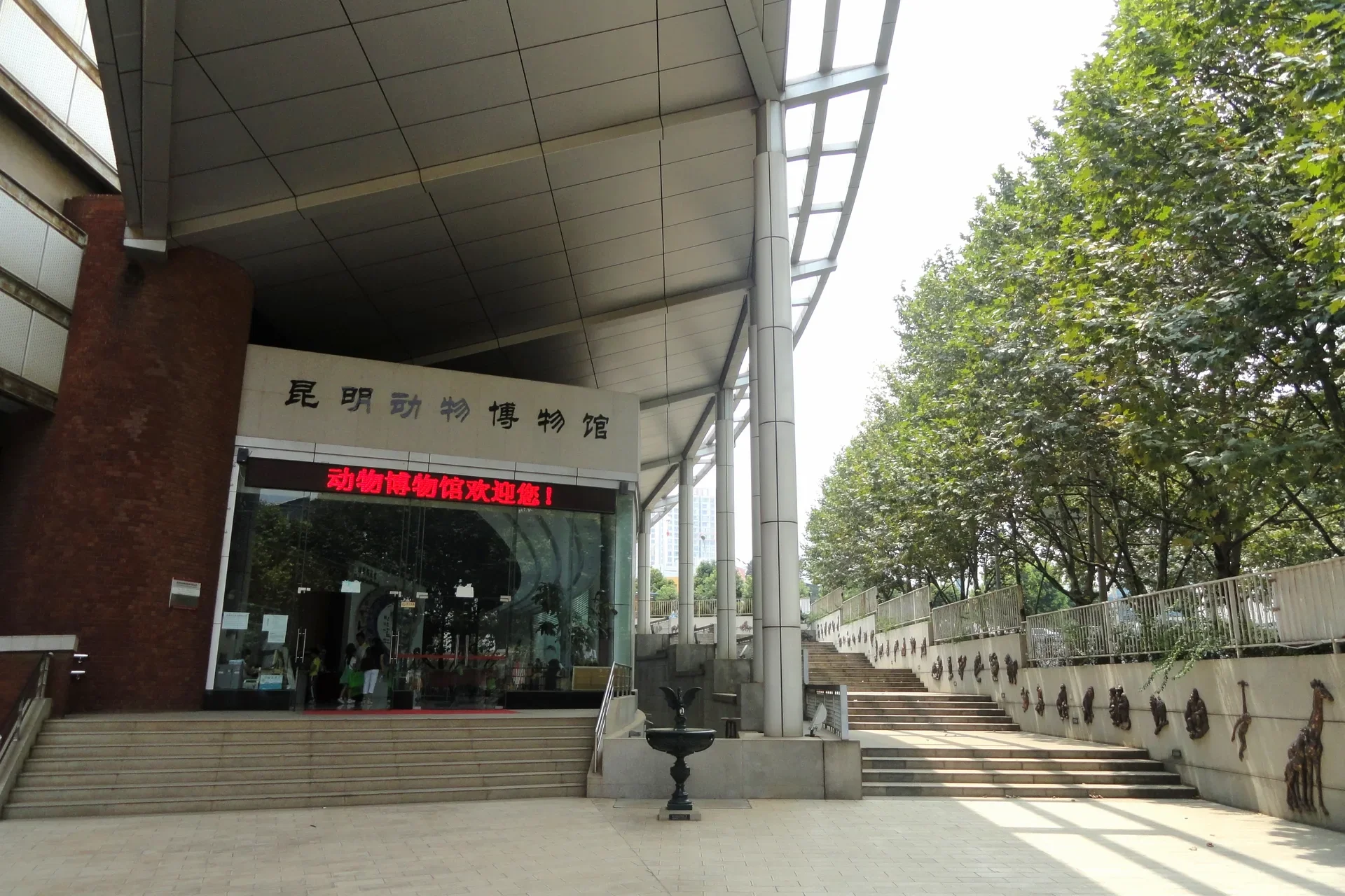 Kunming Natural History Museum travel photo