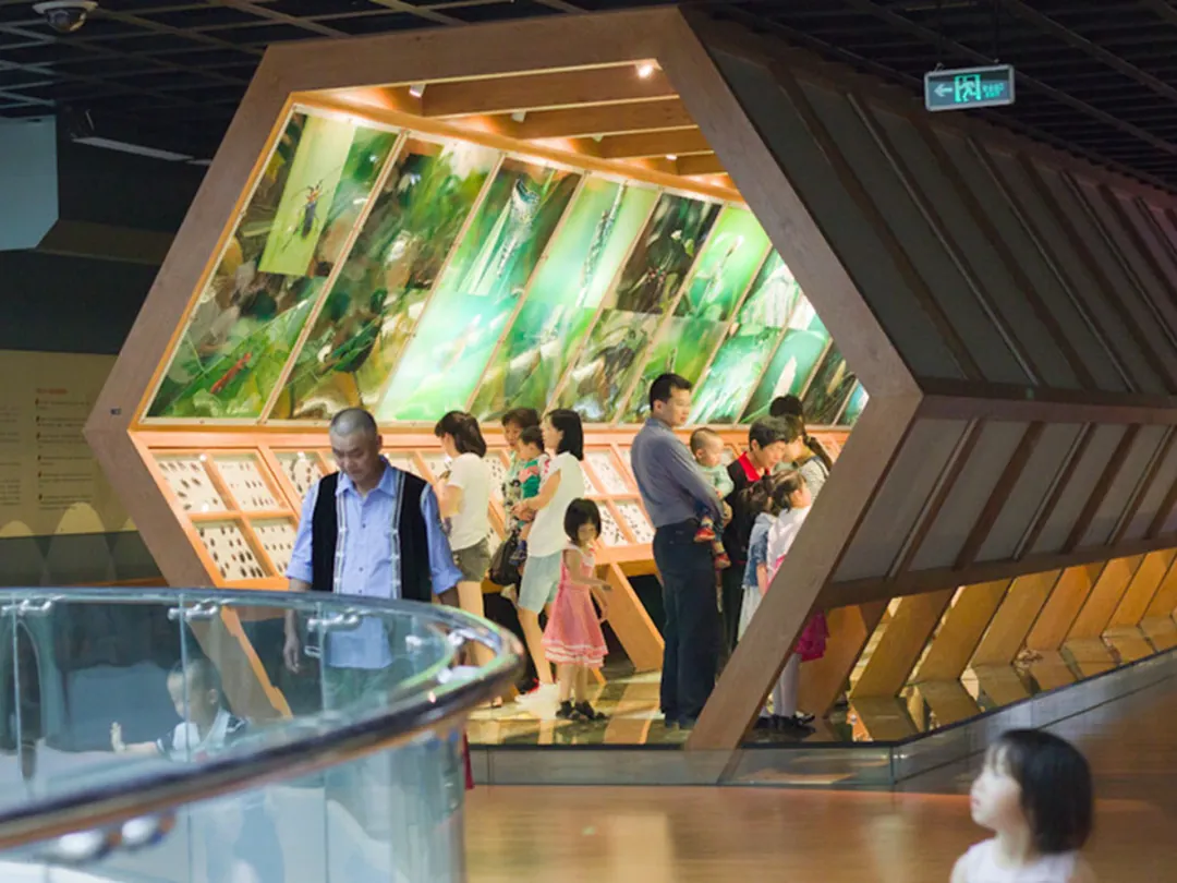 Kunming Natural History Museum