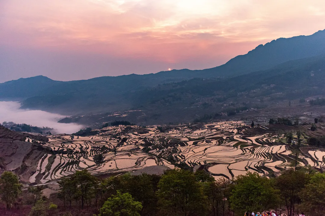 红河哈尼梯田