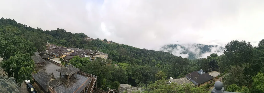Bosques de té antiguos de la montaña Jingmai, en Pu'er