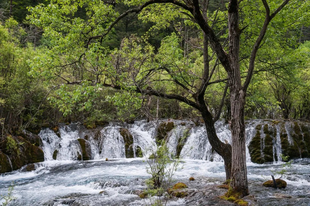 Valle de Jiuzhaigou
