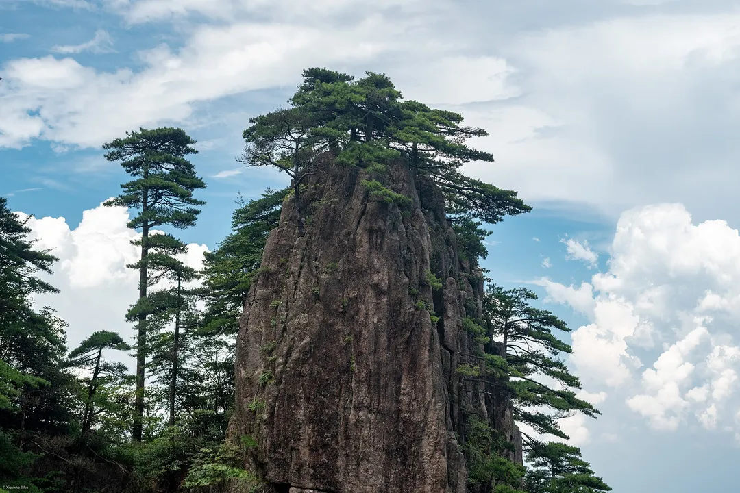황산