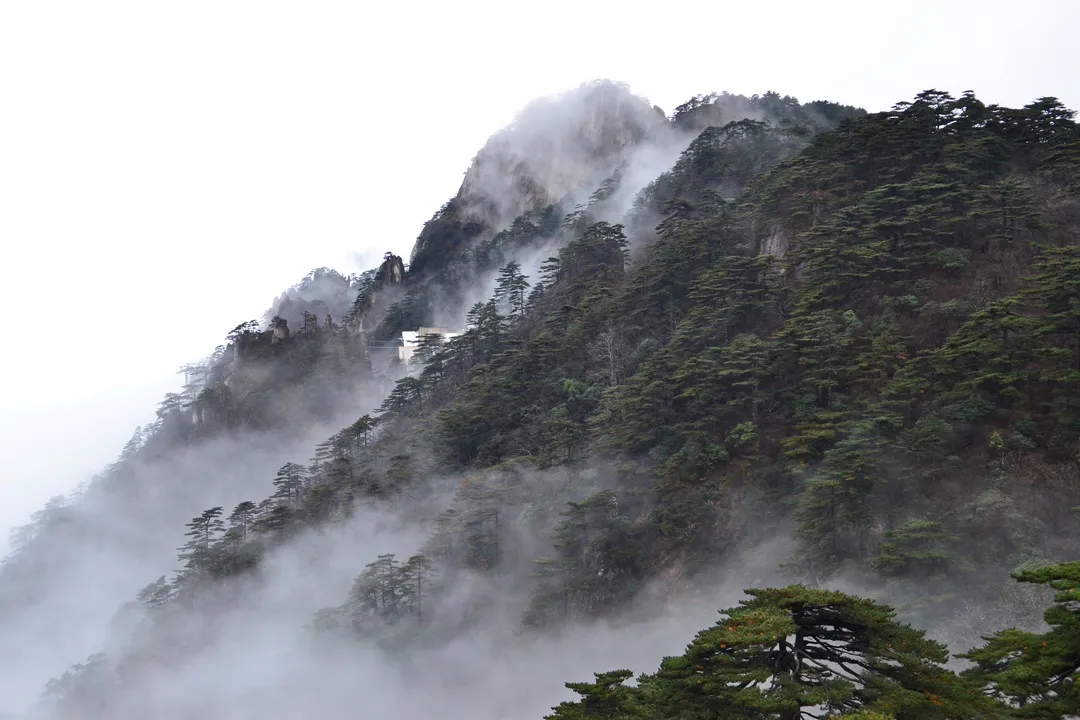 황산