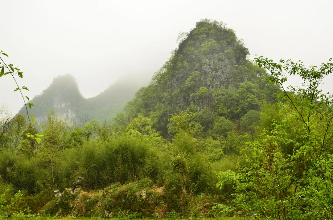 South China Karst