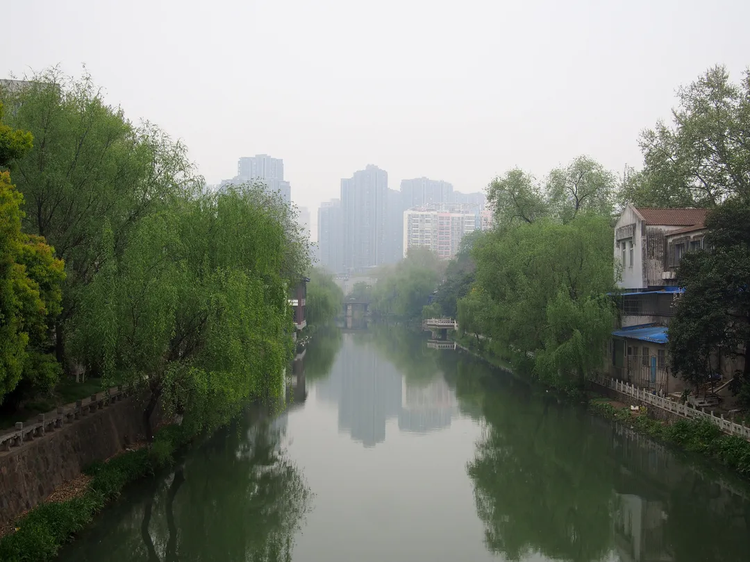 The Grand Canal