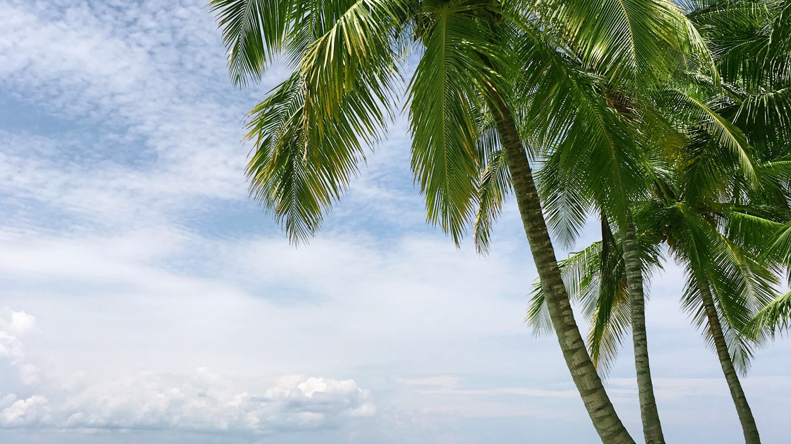 5-Day Hainan Beach Itinerary 2026: Sanya and the South Coast cover photo