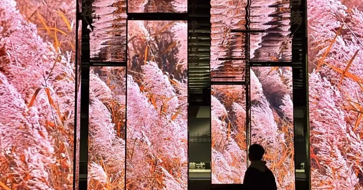 Zhejiang Museum of Natural History, Hangzhou